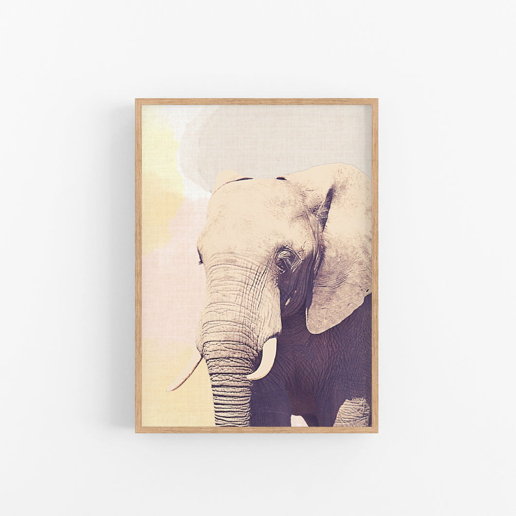Neutral Elephant Photo Print - Happy Joy Decor